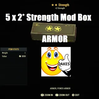 5 x 2* Strength Armor Mod Boxes