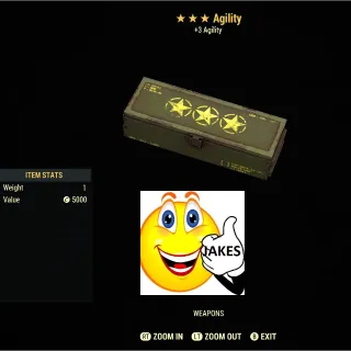 Agility Weapon Mod Box