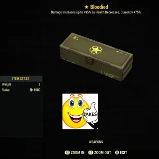 Bloodied Mod Box