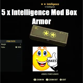 5 x Intelligence Mod Boxes - Armor