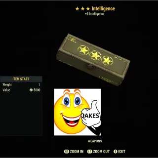 Intelligence Weapon Mod Box 3 Star