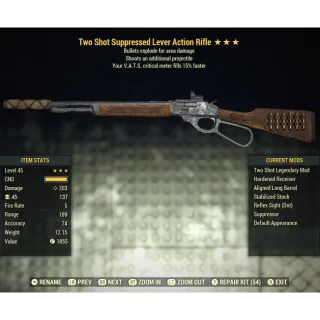 Weapon | TSE Lever Rifle