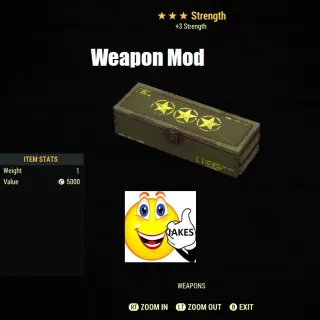 Strength Weapon Mod Box