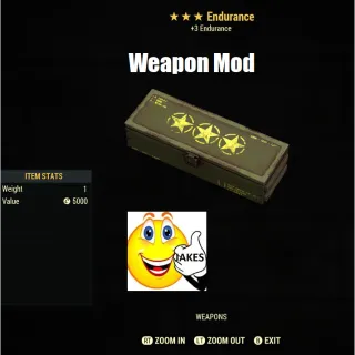 Endurance Weapon Mod Box