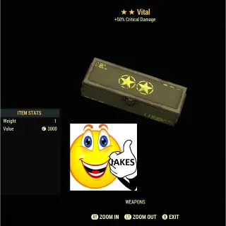 Vital Mod Box