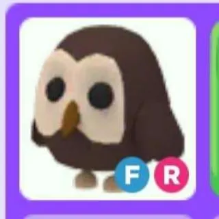 FR Owl