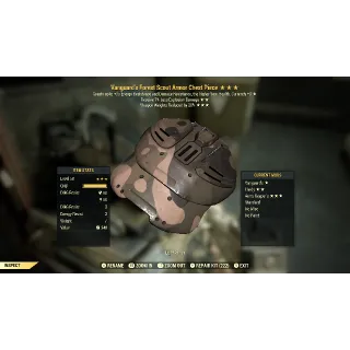 VG WWR Forest Scout Chest