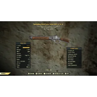 I2590 Lever Action Rifle