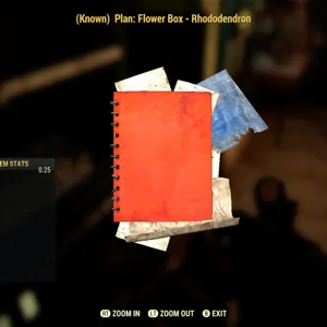 Flower Box Rhododendron