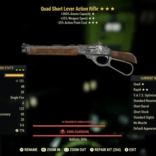 Q2525 Lever Action