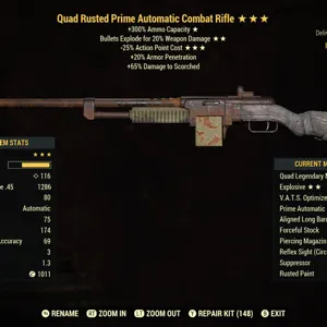 QE25 Combat Rifle