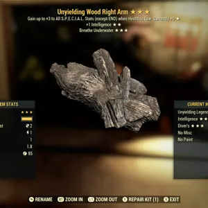 Uny I Wood RA Level one