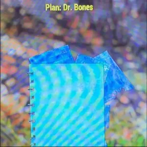 Dr. Bones Plan