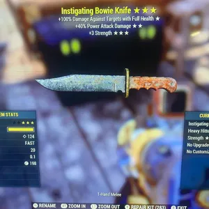 I403s Bowie Knife