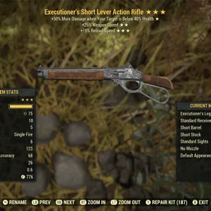 Weapon | Ex2515rl Lever Gun