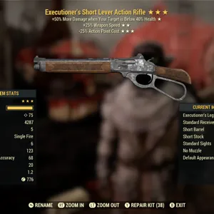 Weapon | Ex2525 Lever Gun