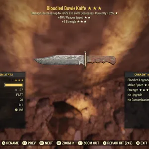 BSS+S Bowie Knife