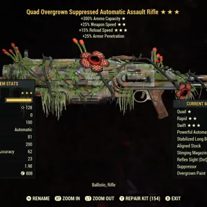 Q2515r Assault Rifle