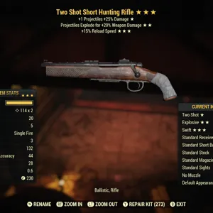 TSE15r Hunting Rifle