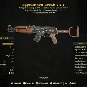 JugE25 Handmade Rifle