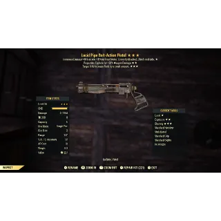 LEG Bolt Pipe Pistol