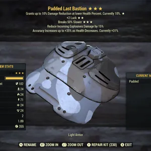 Last Bastion Unique Armo