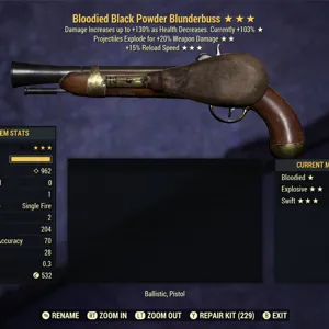 BE15r Blunderbuss