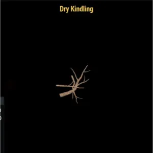 Dry Kindling