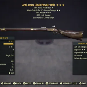 AAE90 Black Powder Rifle