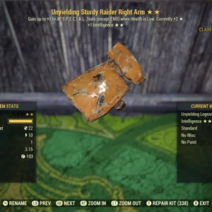 Uny I Sturdy Raider RA