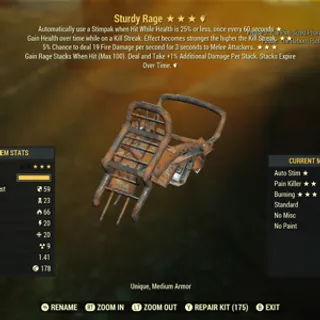 Sturdy Rage Armor
