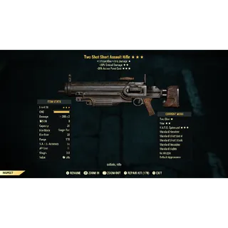 TS50c35 Assault Rifle