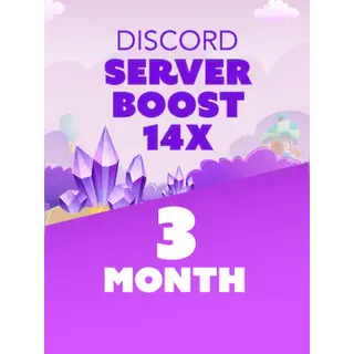 14X 3 Month Discord Server Boost