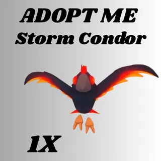 storm condor  1x- Adopt me