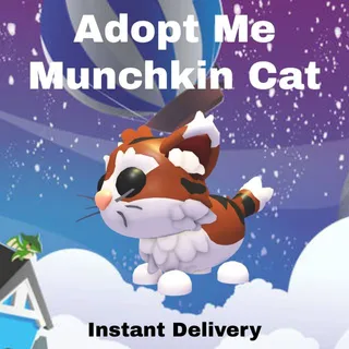 Munchkin Cat - Adopt Me