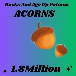 Acorns-adopt me