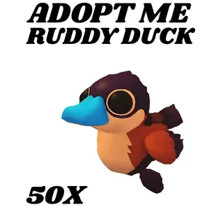 RUDDY DUCK 50X - Adopt Me
