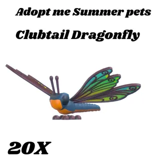 clubtail dragonfly  20x- Adopt me