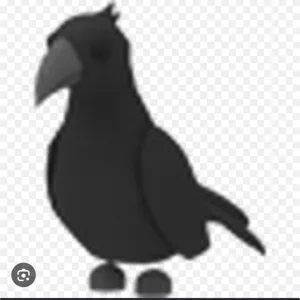 FR crow