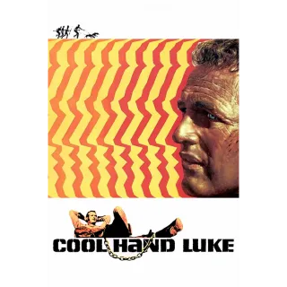 Cool Hand Luke [4K UHD] MOVIESANYWHERE