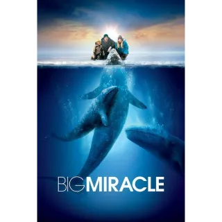 Big Miracle HD ITUNES/ports