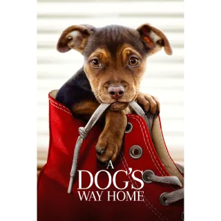 A Dog's Way Home HD MOVIESANYWHERE