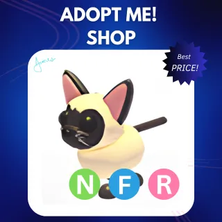 NFR SIAMESE CAT
