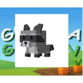 GROW A GARDEN : 4x RACCOON (RANDOM SIZE 5-8kg)