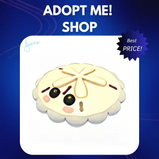 4X WHITE SAND DOLLAR