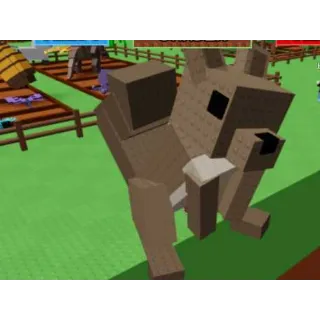 HUGE SQUIRREL (20+KG)