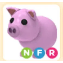 NFR PIG