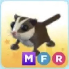 MFR Sugar Glider