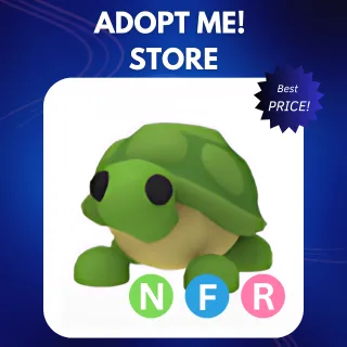 NFR TURTLE
