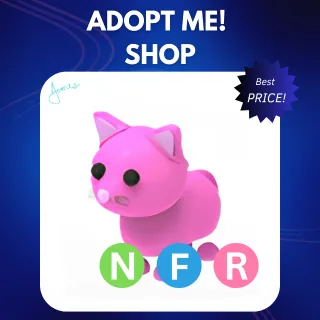 NFR PINK CAT